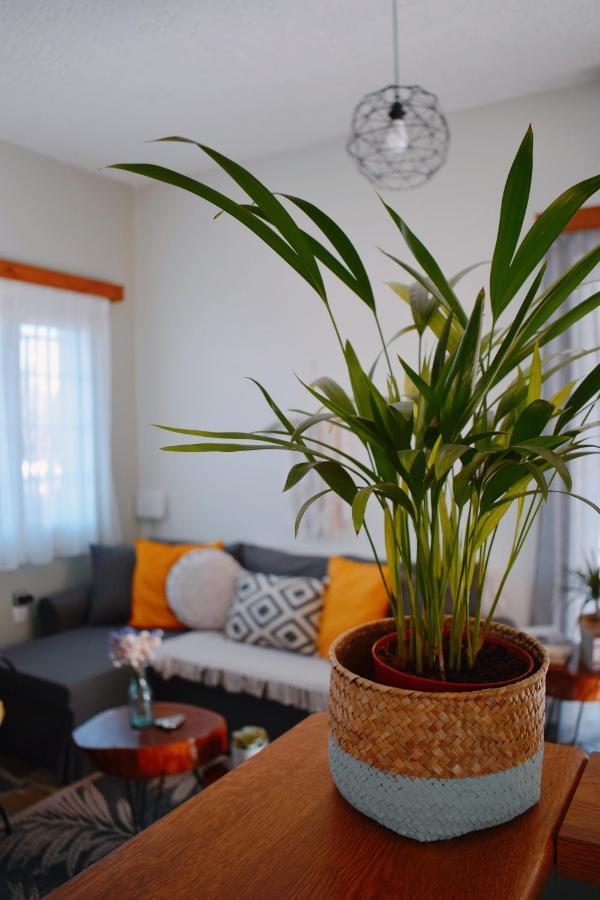 Elia'S House Traditional & Cozy By 8Essentially Kalyves Esterno foto